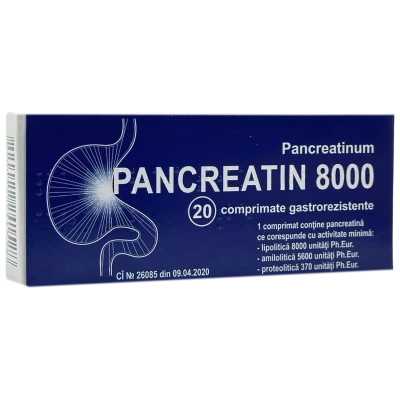 Pancreatin 8000 comprimate gastrorezistente N10x2  Technolog