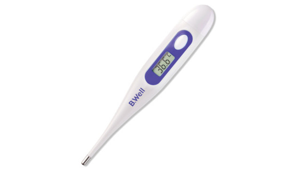 B. Well Termometru digital WT-03