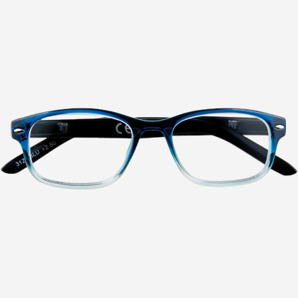 Очки для чтения BlueFilter ER5608 B +3.00
